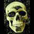 JohnnyTheBone
