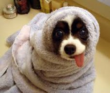 Bigpupp