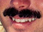 JodyReed'sMustache