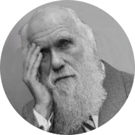 Danny_Darwin