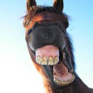 Tony the Pony